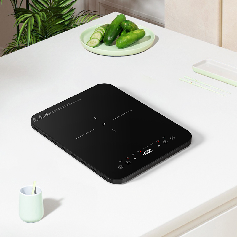 Dual heat dissipation inductio - đánh giá và giá Hot Pot Portable Dual