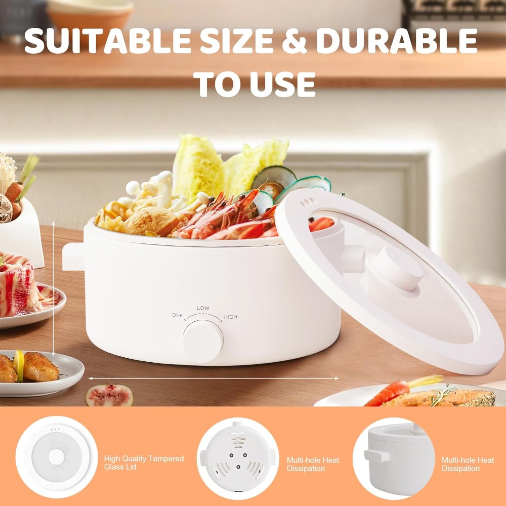 Electric Hot Pot, 3L Portable  - đánh giá và giá Hot Pot Portable Dual
