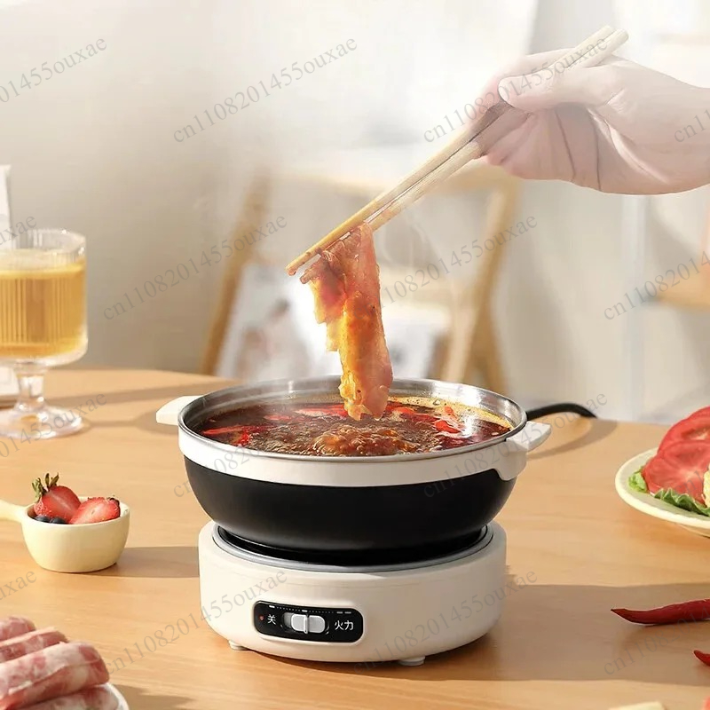 220V Portable Split Multi Cook - đánh giá và giá Hot Pot Portable Dual