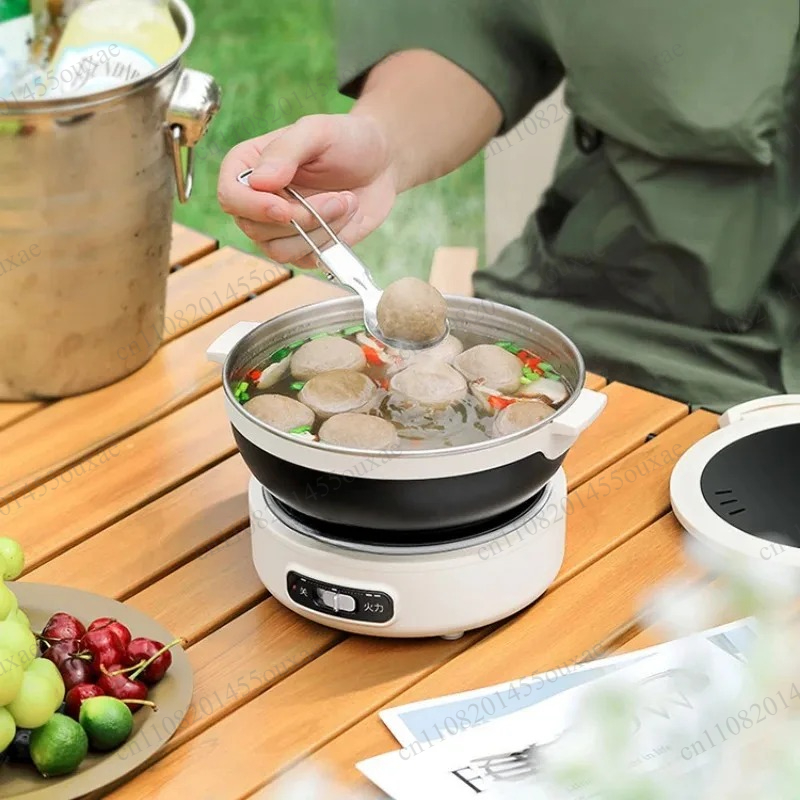 220V Portable Split Multi Cook - đánh giá và giá Hot Pot Portable Dual