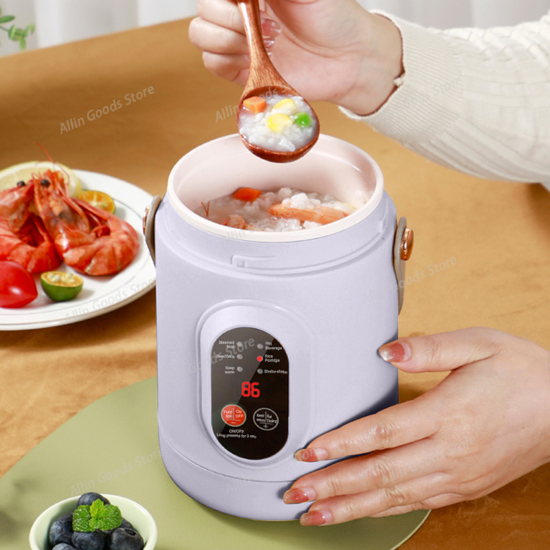 Portable Multifunctional Mini  - đánh giá và giá Hot Pot Portable Dual