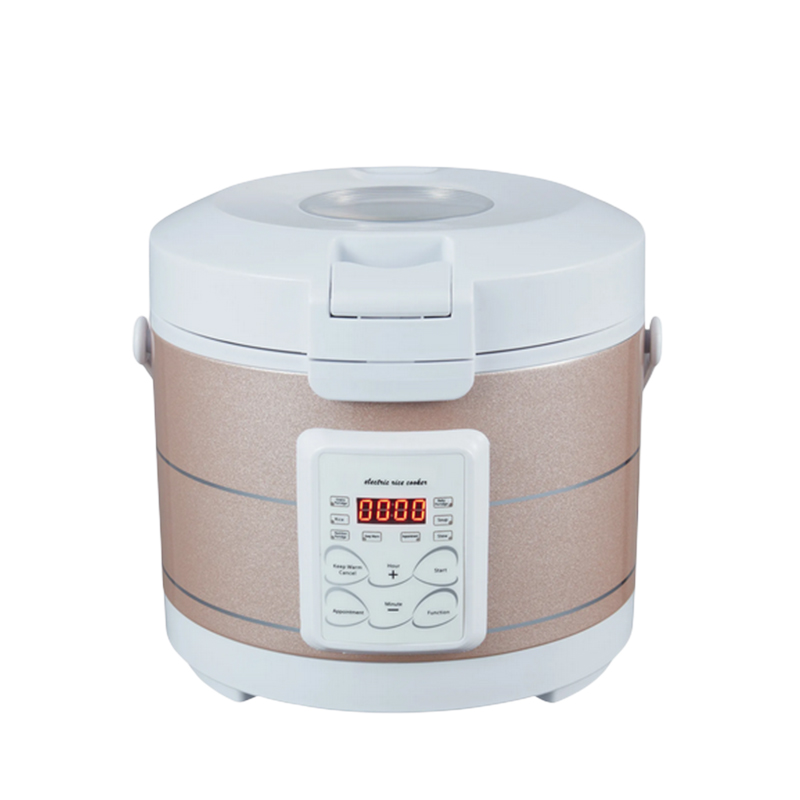 12-24V 220V Rice Cooker Soup S - đánh giá và giá Home Cooking Heater
