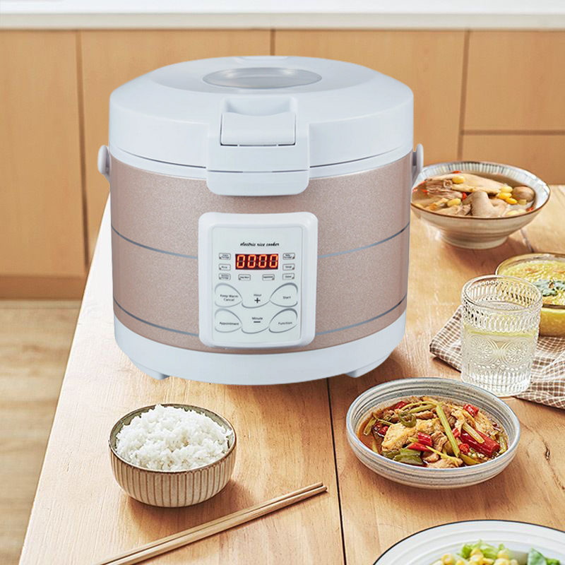 12-24V 220V Rice Cooker Soup S - đánh giá và giá Home Cooking Heater